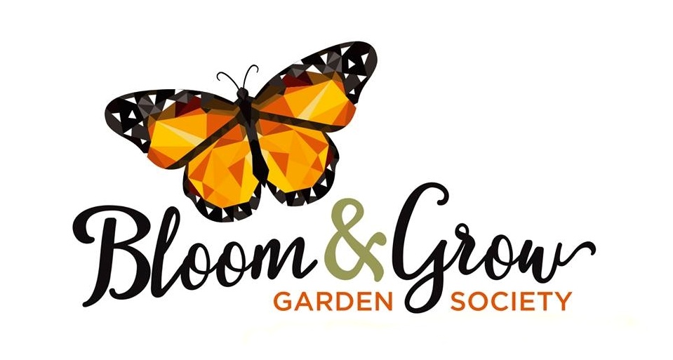 Bloom and Grow